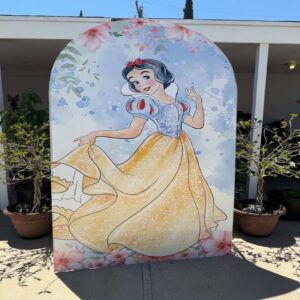 snow-white-backdrop